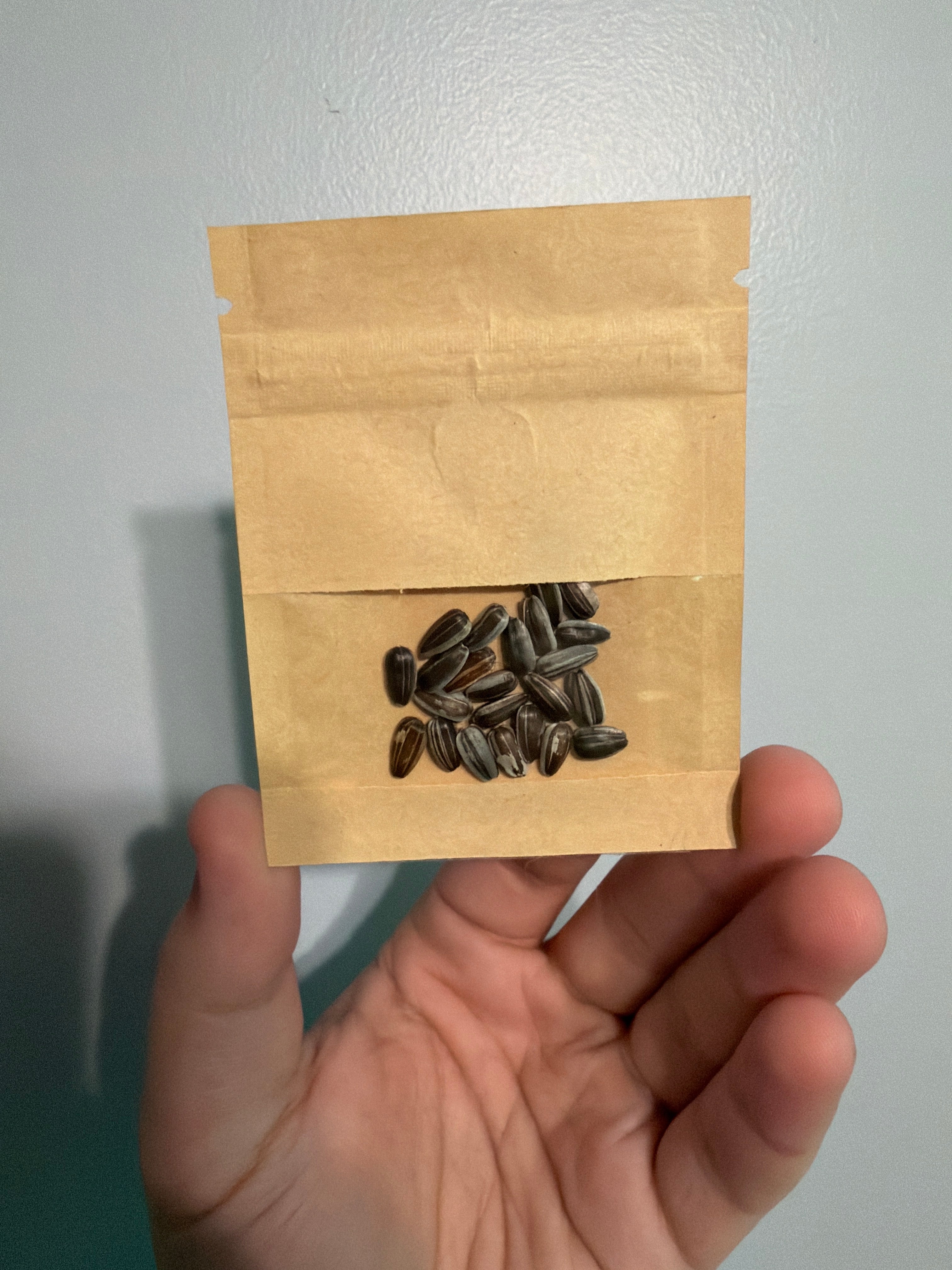 Fresh DMR
Sunflower Seed