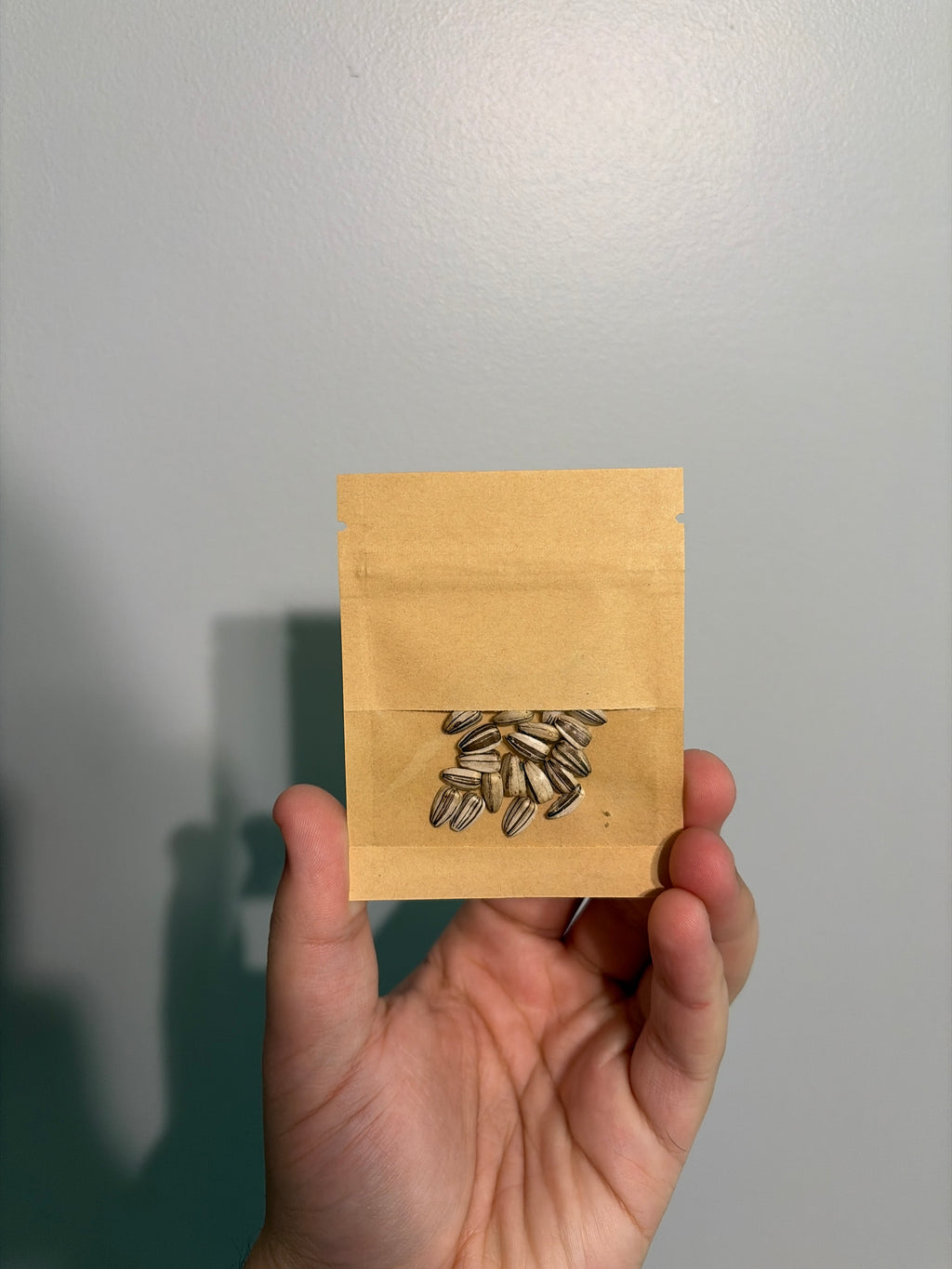 Choice DMR Sunflower Seed